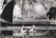 de Mario Nalpas et Henri Etiévant - 1927 - Durée : 86 min - accompagné par Touve R.Ratovondrahety au piano et Raphaël Gouthière au tuba et à la trompette